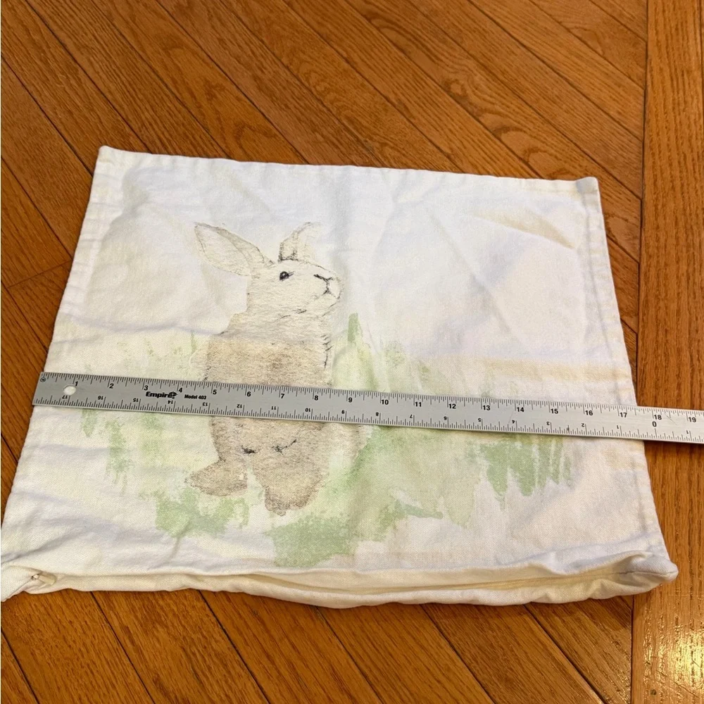 Pottery Barn 18 x 18 pillow cover watercolor bunny rabbit green cream spring
